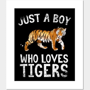 Just A Boy Who Loves Tigers Posters and Art